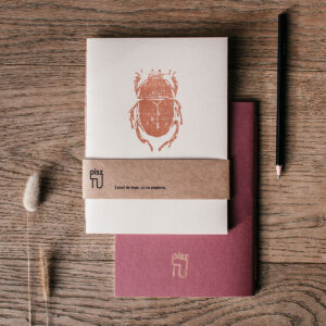 Zeszyt "Owady - żuk" Szampański beż