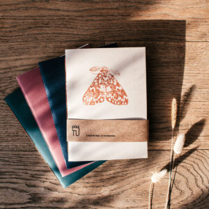 Zeszyt "Owady - ćma" Szampański beż