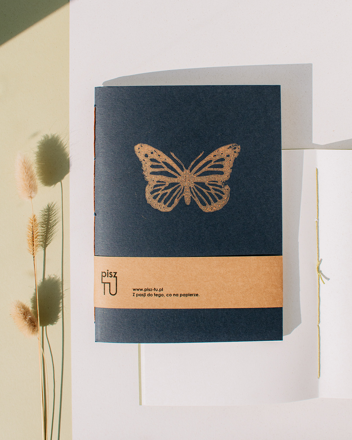 Zeszyt "Owady - motyl" nocny granat