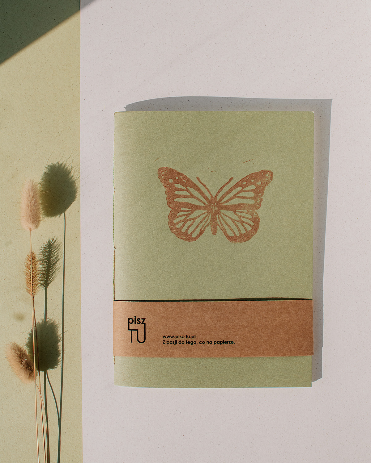 Zeszyt "Owady - motyl" pistacjowa zieleń